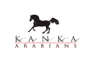 kanka_logo